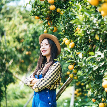 Fruits & Flowers Garden